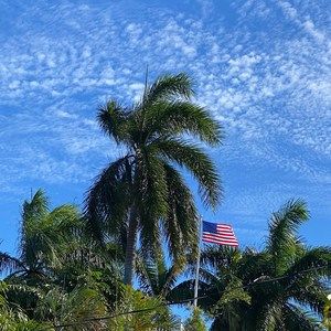 Meet your Posher, Suzanne